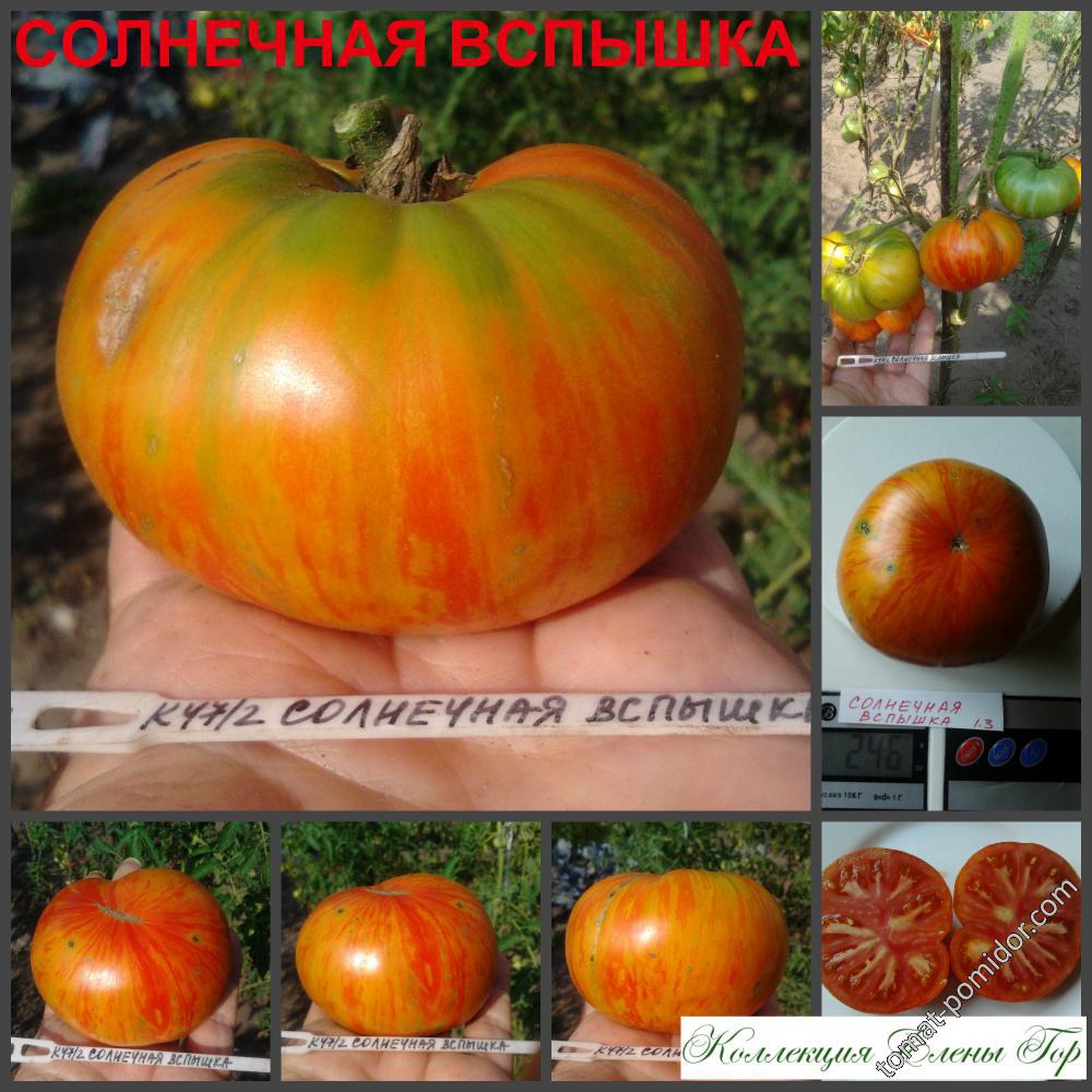 Солнечная вспышка