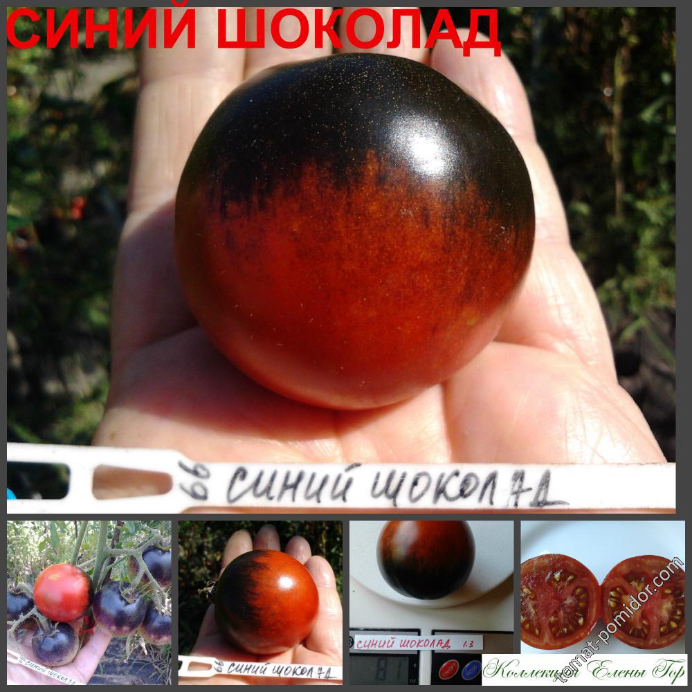 Синий шоколад