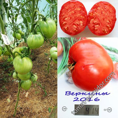 Веркины