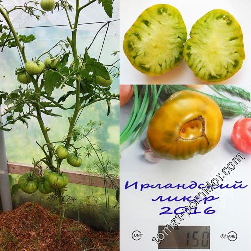 Ирландский ликер