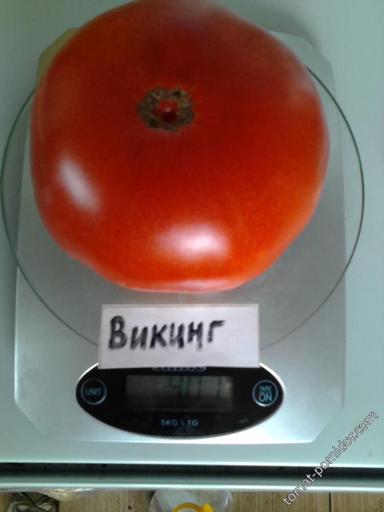 Викинг