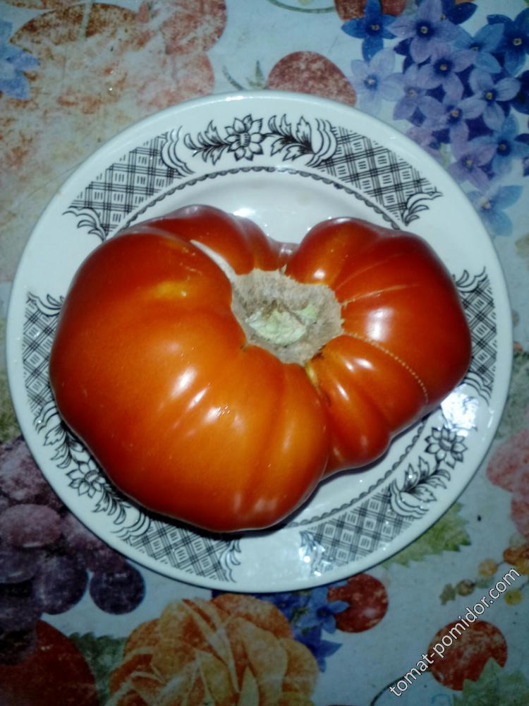 Малиновый привет