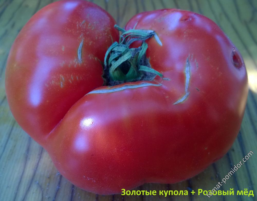 Золотые купола+Розовый мёд