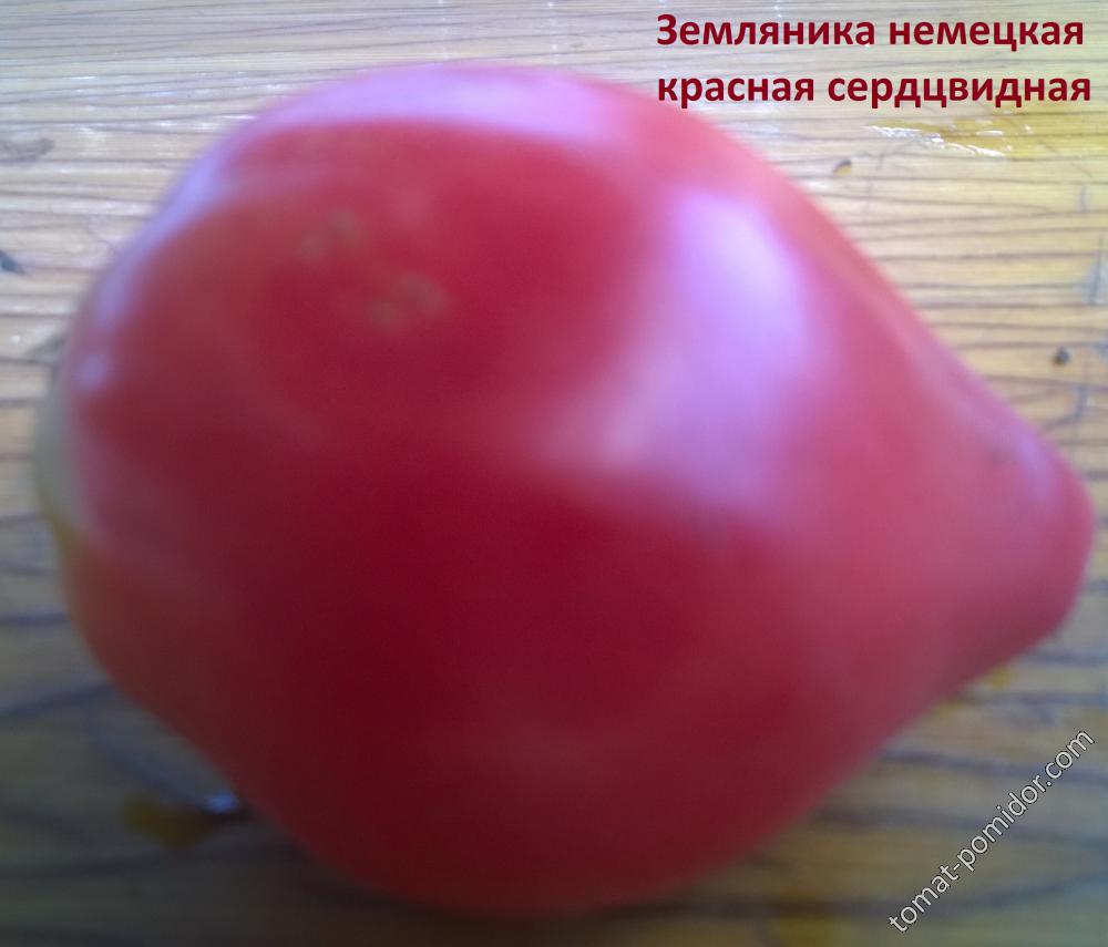 Земляника немецкая красная (Сердцевидная)