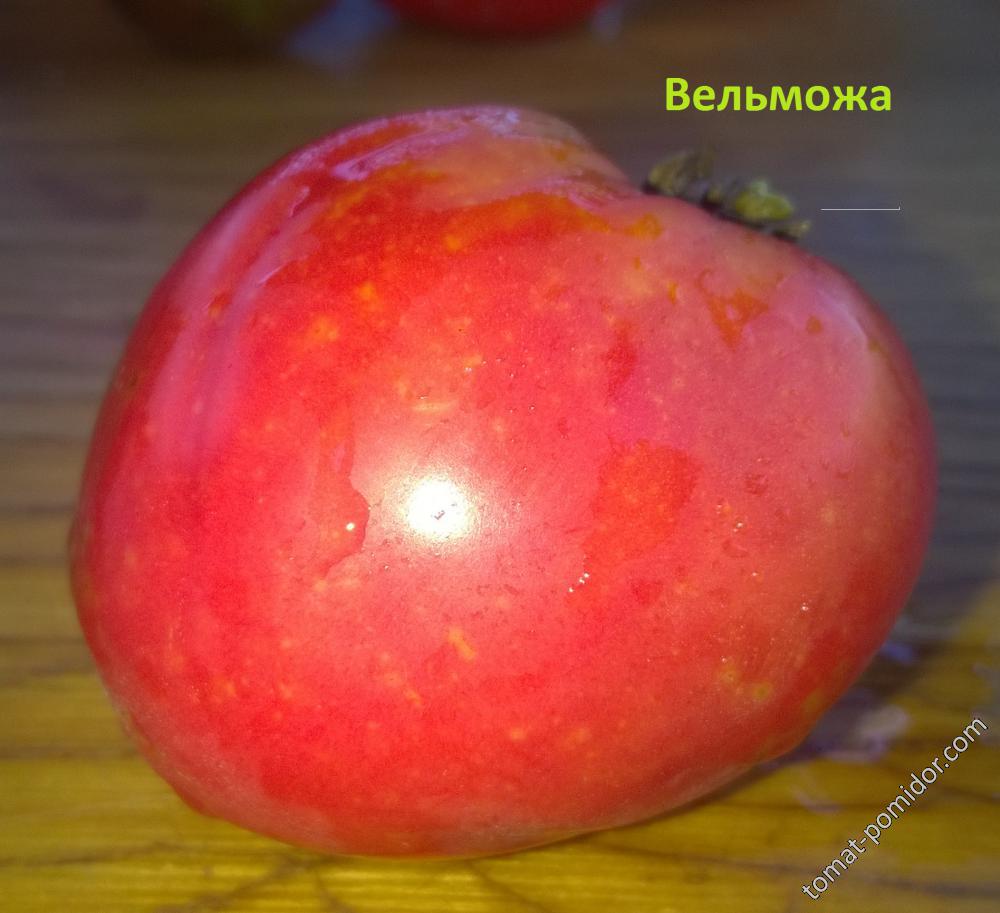 Вельможа