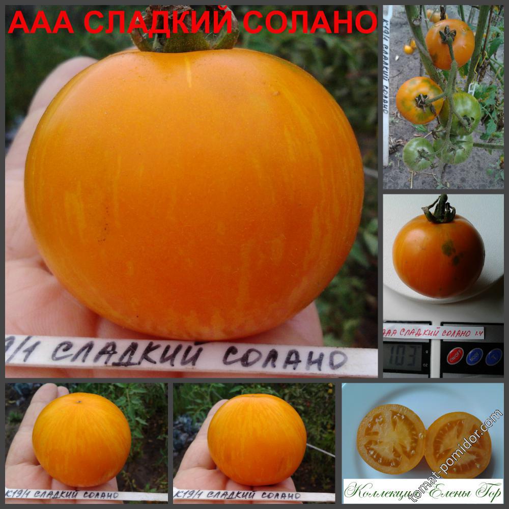 ААА Сладкий солано