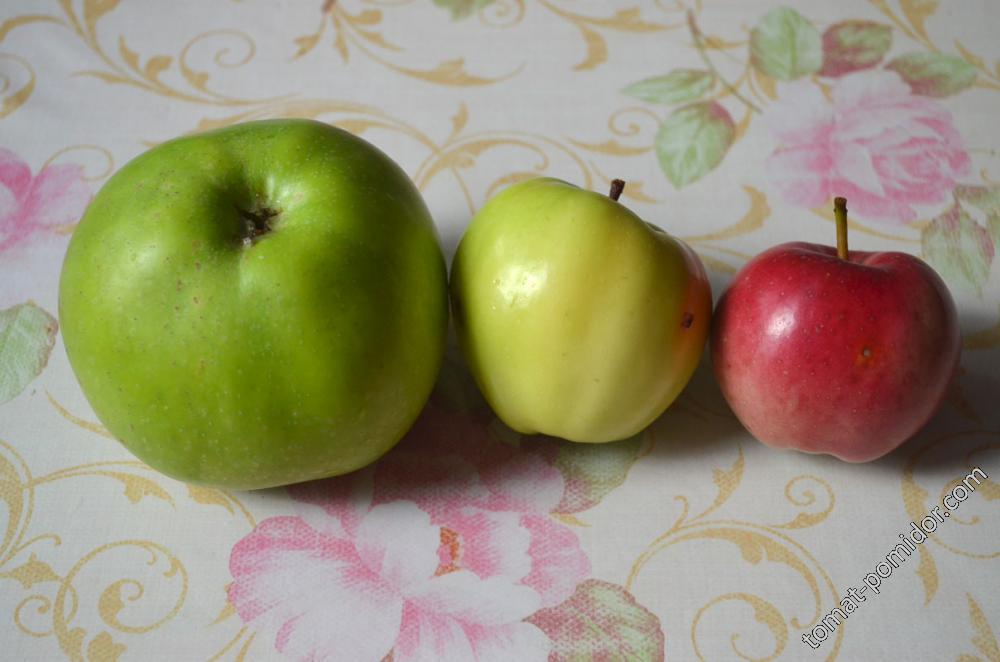 Яблоки бывают разные: зелёные, жёлтые, красные