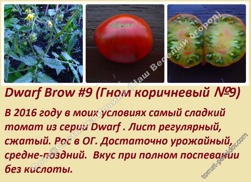 Dwarf Brow №9 (Гном коричневый №9)
