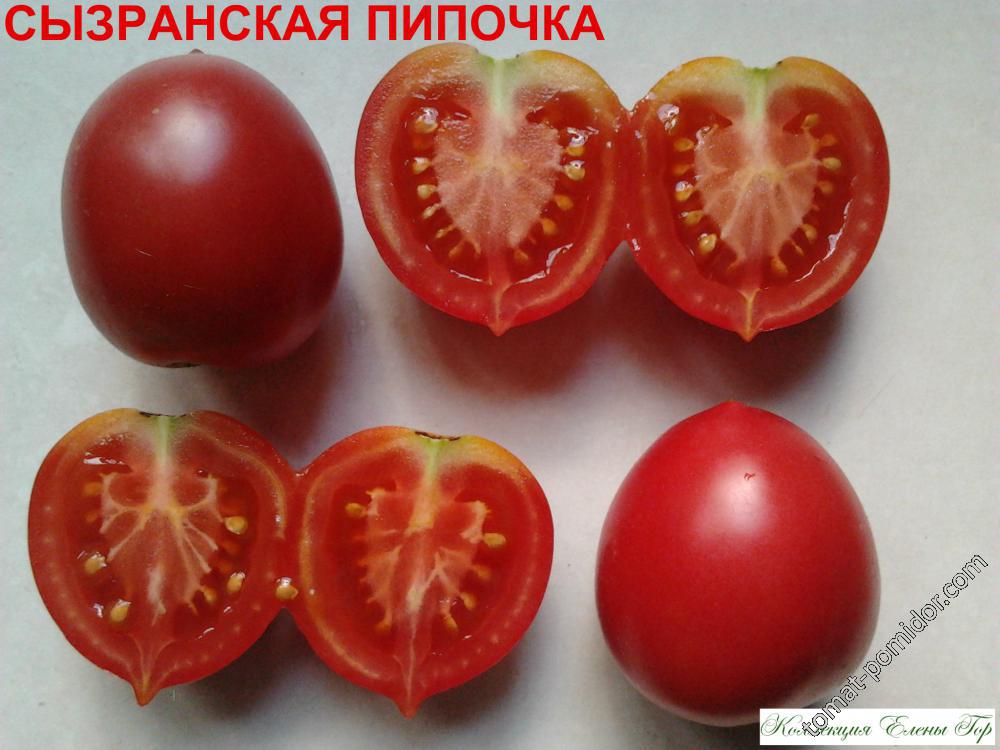 Сызранская пипочка