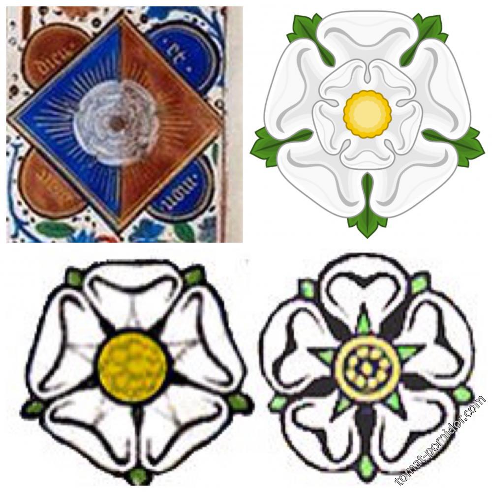 Геральдический символ белая роза