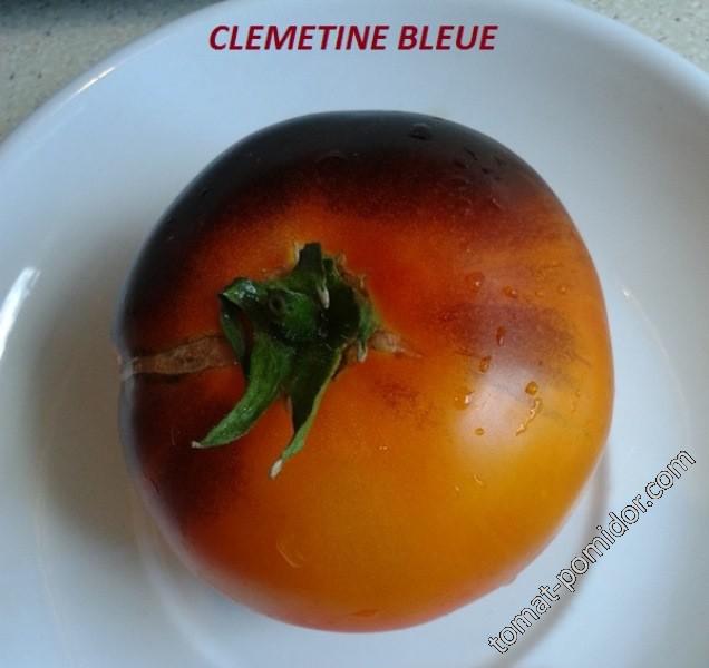 Clemetina Bleue