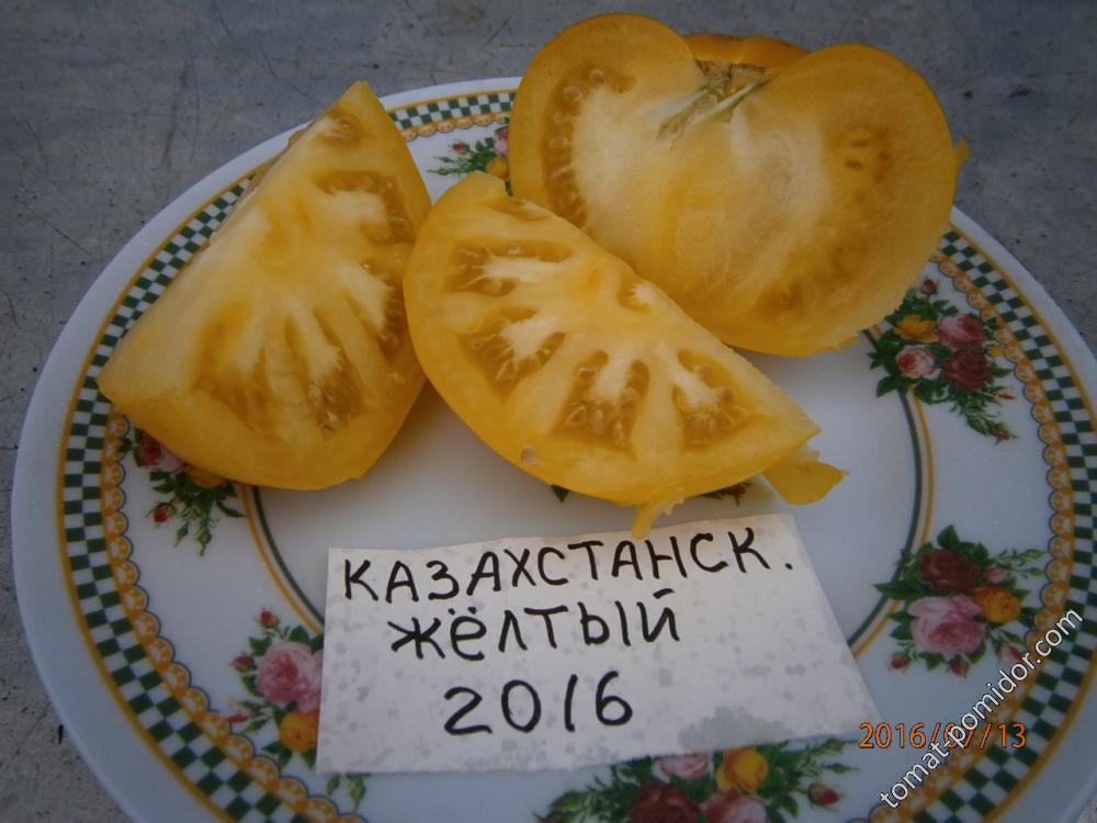 Казахстанский жёлтый