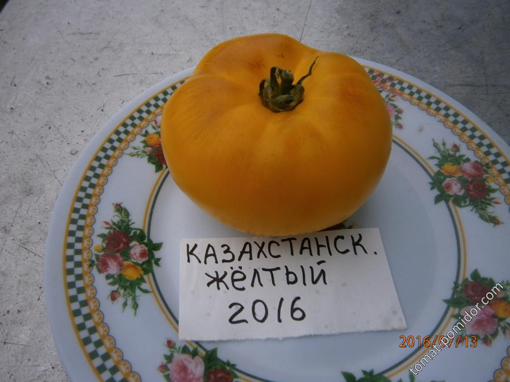 Казахстанский жёлтый