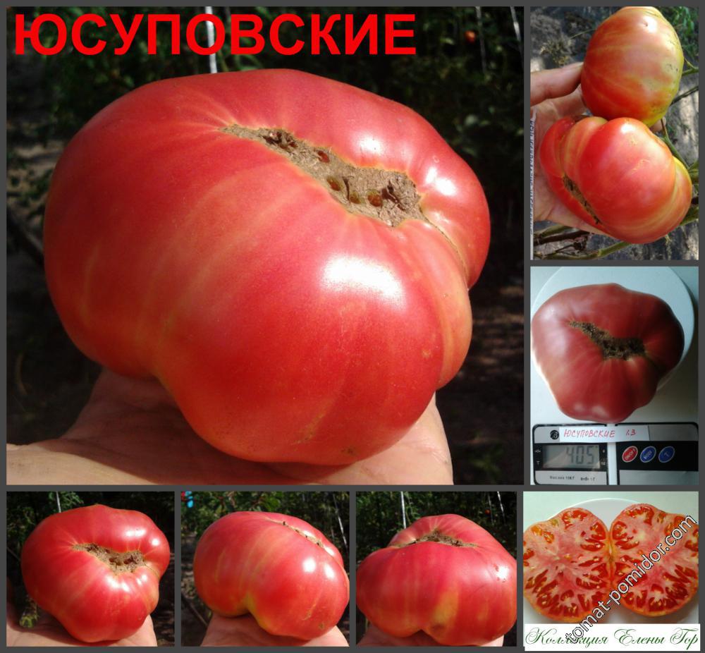 Юсуповские