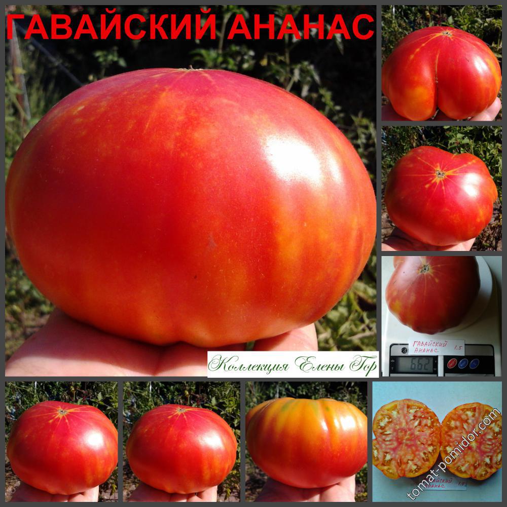 Гавайский ананас