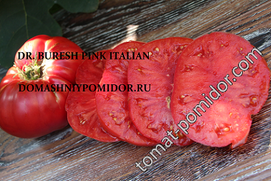 Dr. Buresh Pink Italian