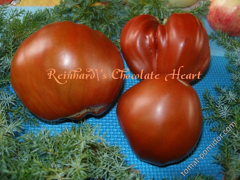 Reinhard's Chocolate Heart ( Шоколадное Сердце Рейнхарда)