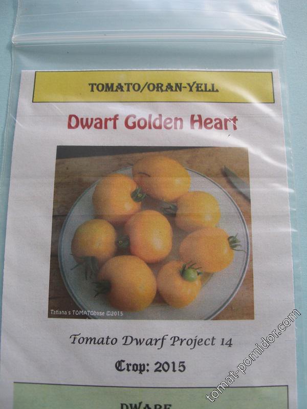 Dwarf Golden Heart