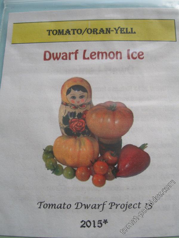 Dwarf Lemon Ice