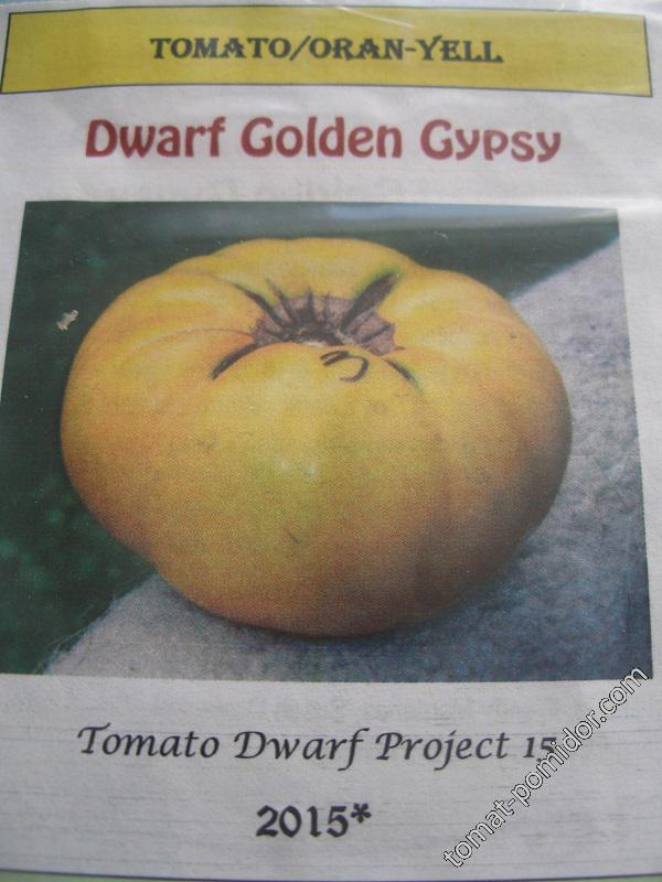 Dwarf Golden Gypsy