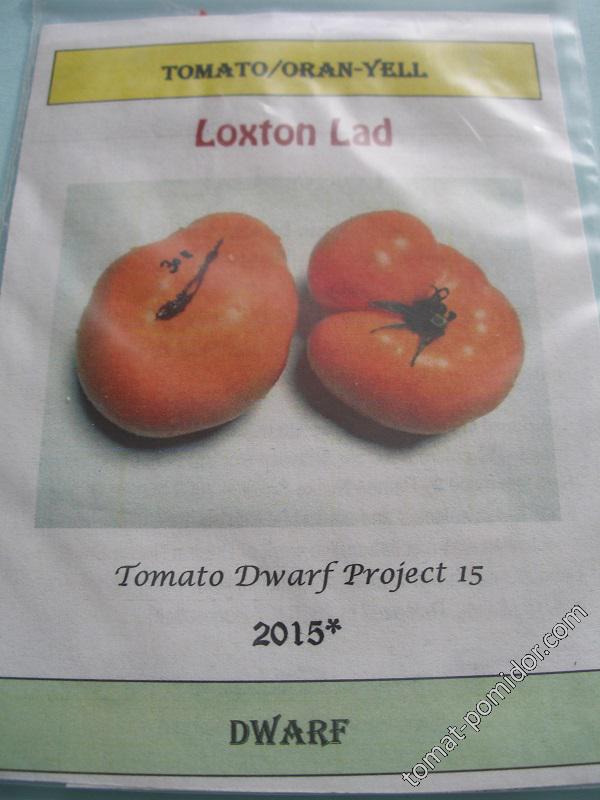 Dwarf Loxton Lad