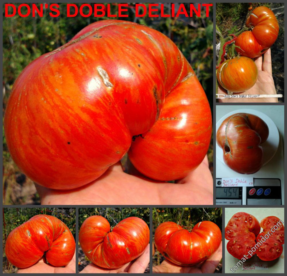 Don’s  Doble Deliant  (Кулик)