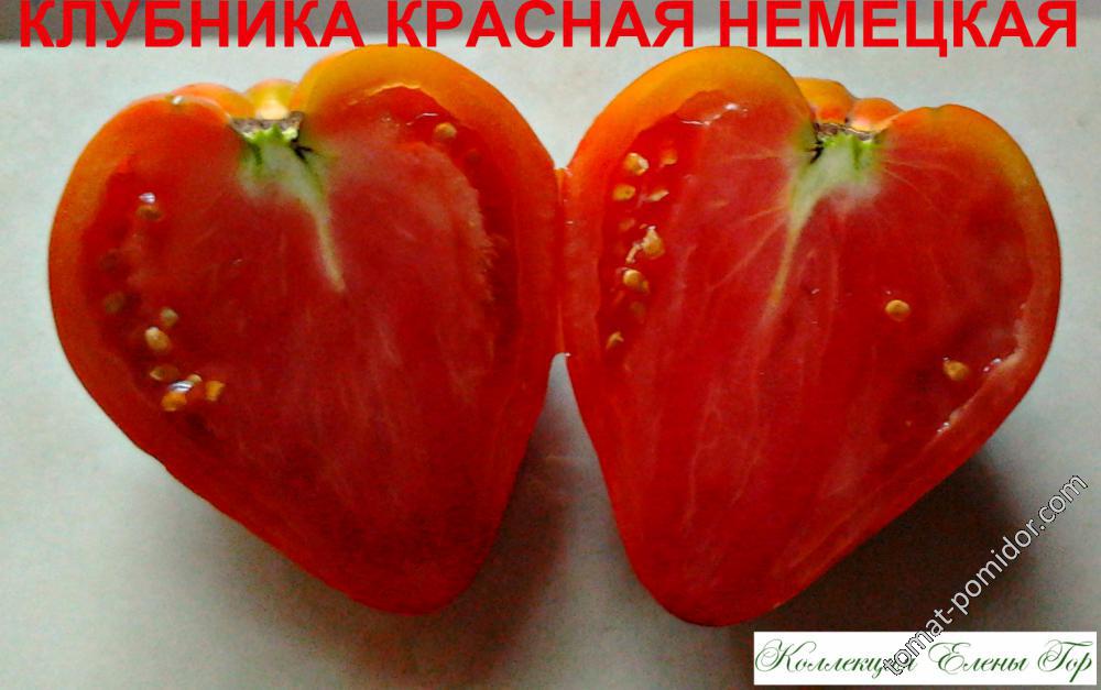 Клубника немецкая красная