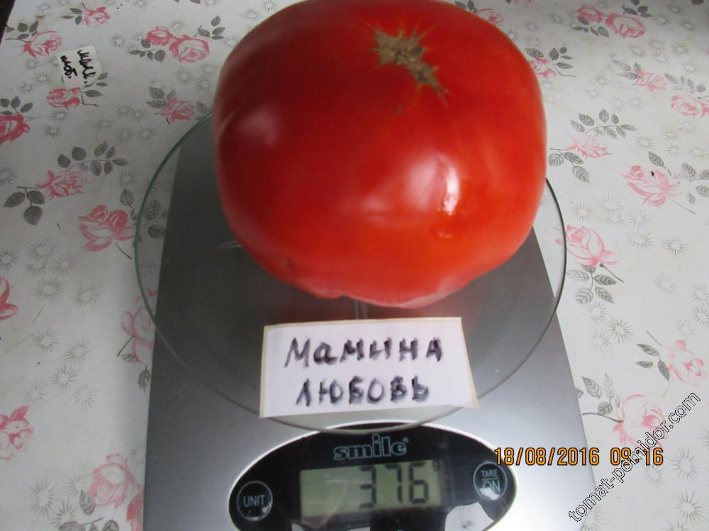 Мамина любовь