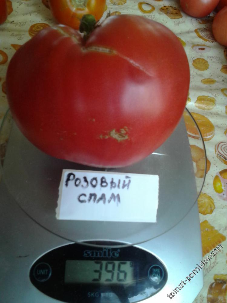 Розовый спам