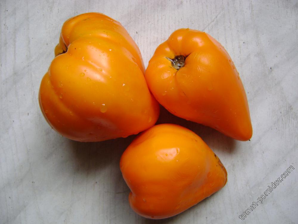 Лискин нос ( Оранжевое сердце)