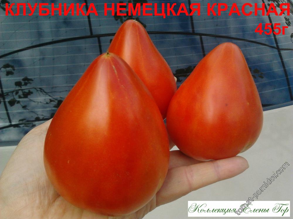 Клубника немецкая красная