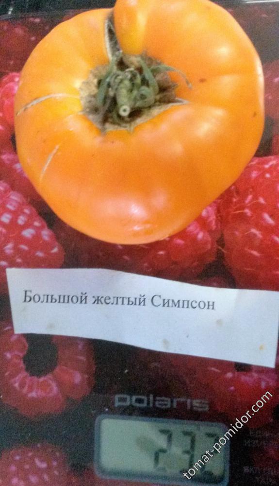 семенные