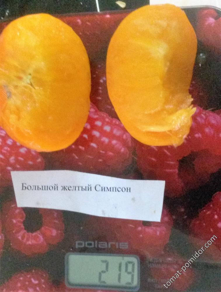 семенные