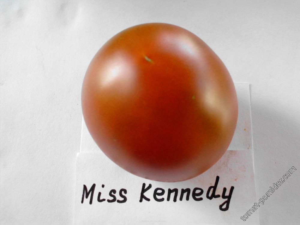 Мисс Кеннеди