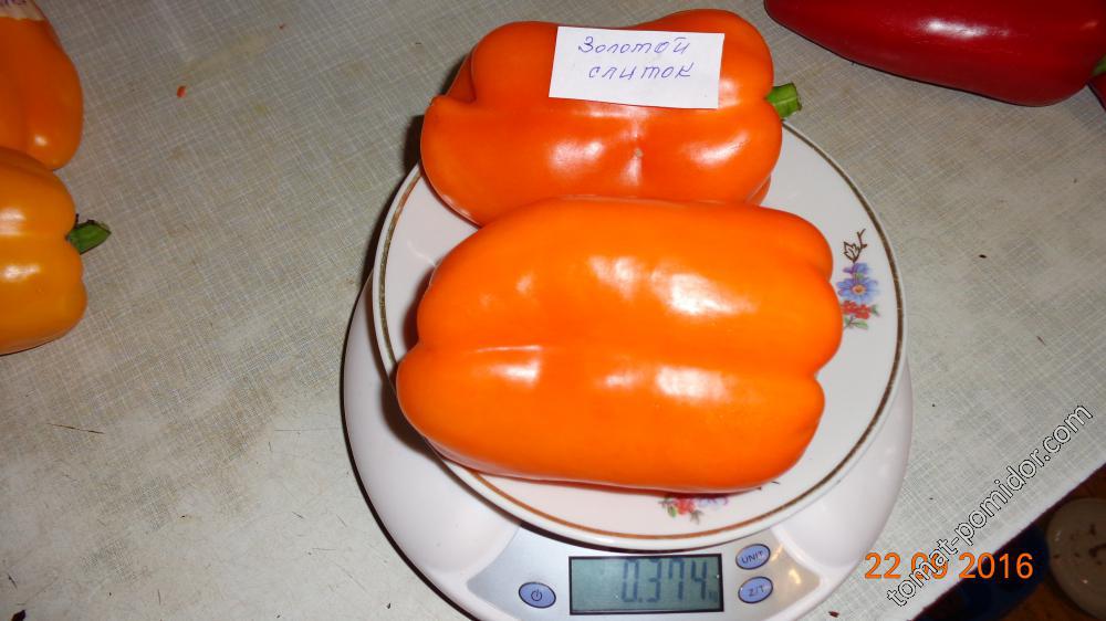 выбор сортов перца на 2017 год - Страница 4 - Баклажаны, перцы, физалис -tomat-pomidor.com - форум