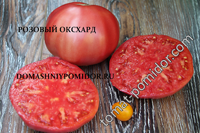 Розовый оксхард