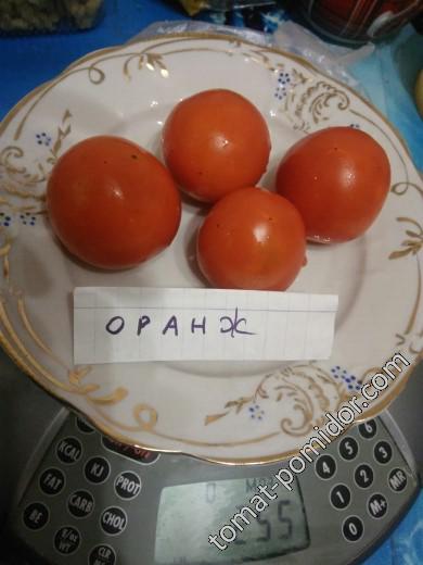 Оранж (Седэк) .