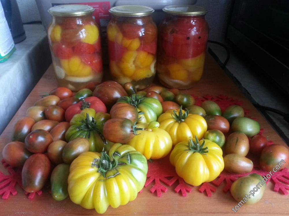 Сентябрьские томаты