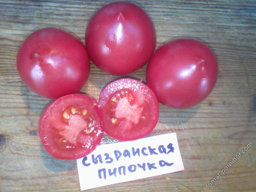 СЫЗРАНСКАЯ ПИПОЧКА