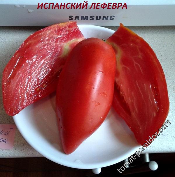 Испанский Лефевра