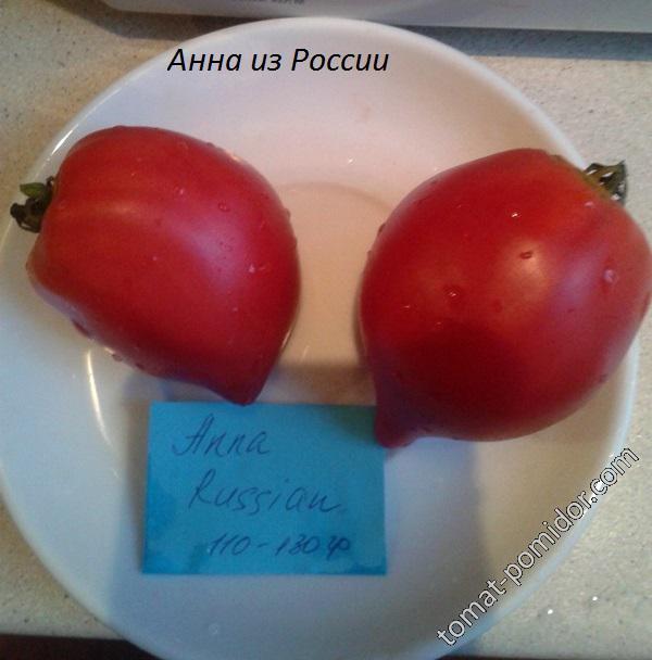 Анна из России