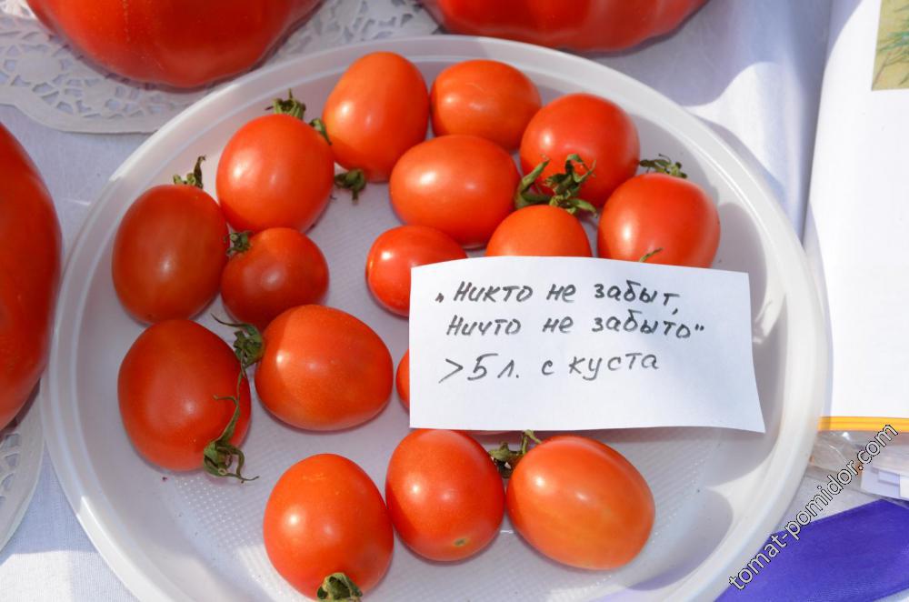 "Никто не забыт, ничто не забыто"