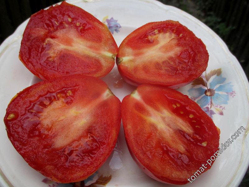 томаты