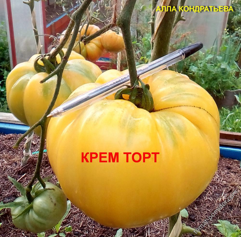 КРЕМ ТОРТ