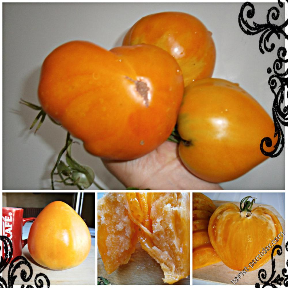 Orange Pastel Heart