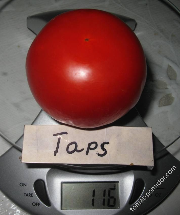 Taps - вес