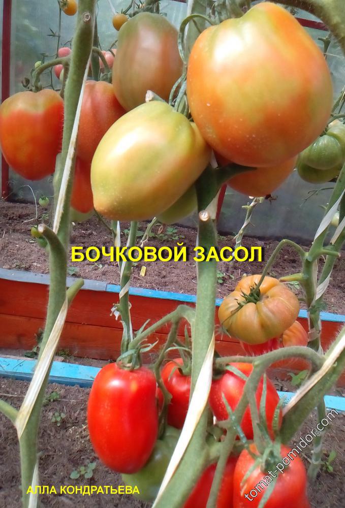 БОЧКОВОЙ ЗАСОЛ