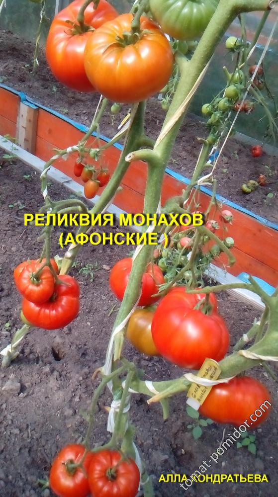 РЕЛИКВИЯ МОНАХОВ