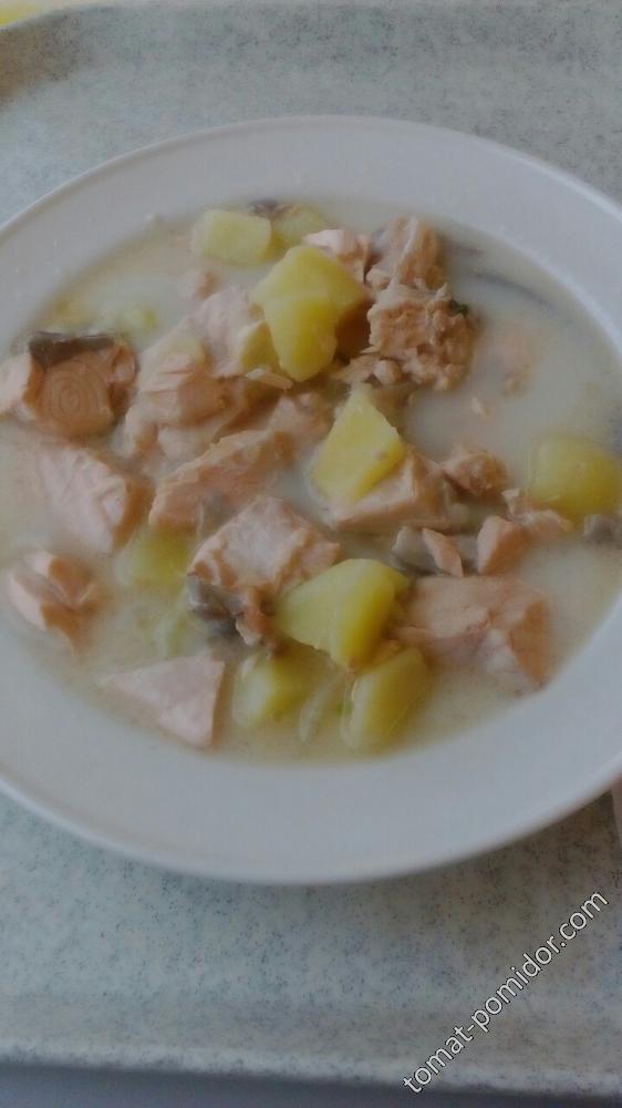 Финская уха