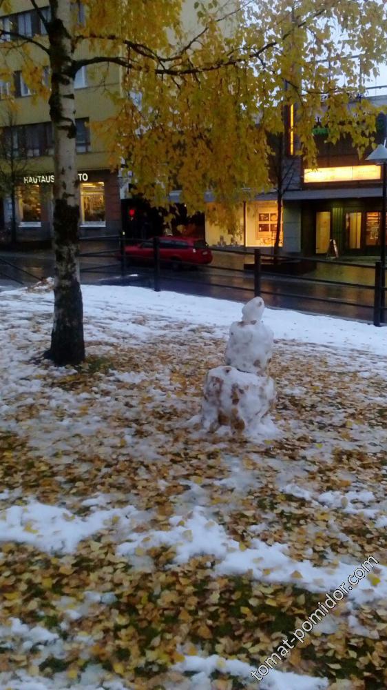Октябрь 2016. Первый снег. Финский снеговик.